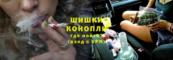ГАЛЛЮЦИНОГЕННЫЕ ГРИБЫ Карталы