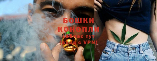 ALPHA PVP Касимов