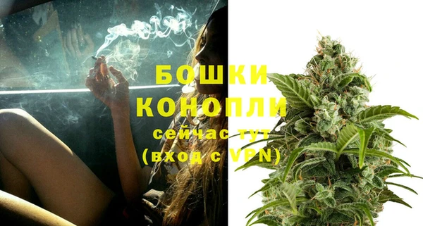 ГАЛЛЮЦИНОГЕННЫЕ ГРИБЫ Карталы