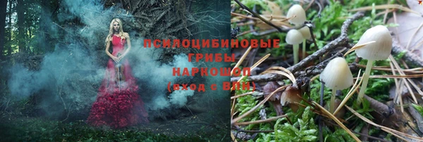 ALPHA PVP Касимов