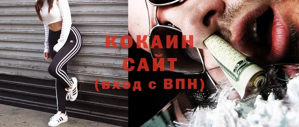 ГАЛЛЮЦИНОГЕННЫЕ ГРИБЫ Карталы