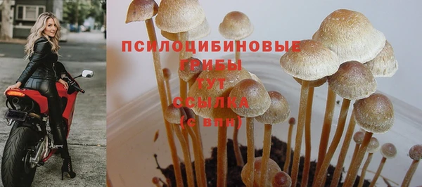 марки lsd Карпинск